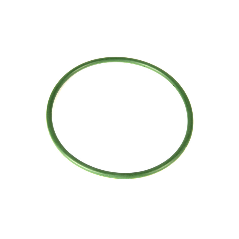 Fuel Pump Seals